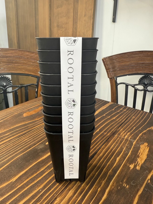 NIPPORI プレステラ深鉢75(2.5号)　ブラック　10個セット