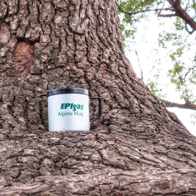 アルパインマグカップ M