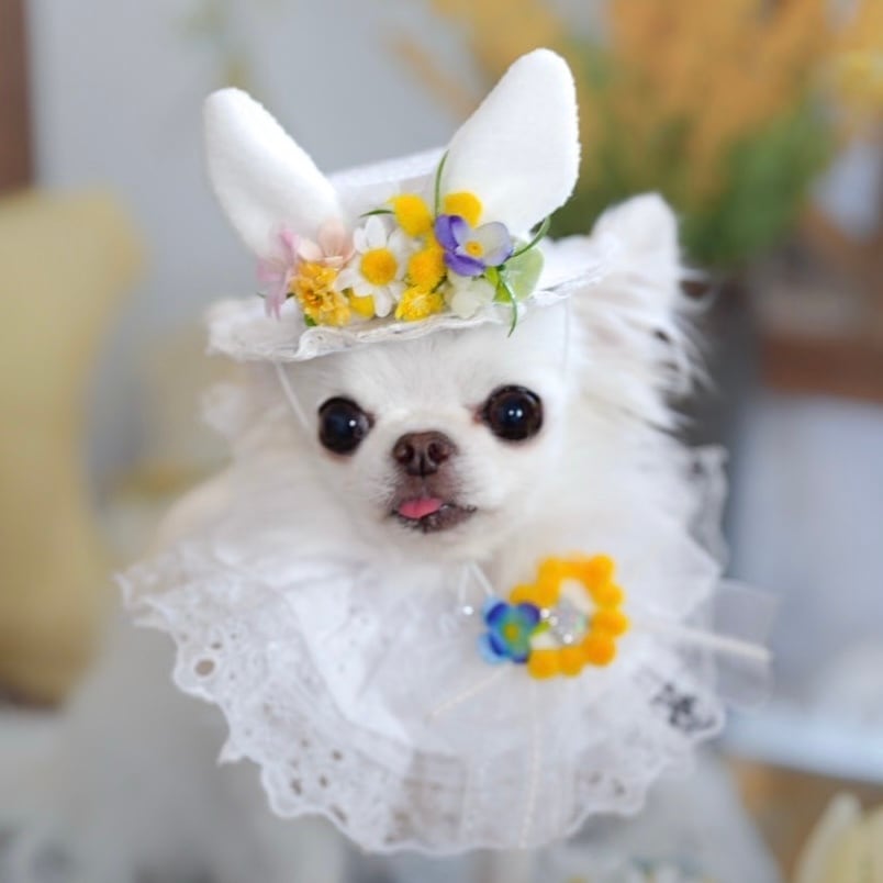 C'estlavee /Vintage Check onepiece | BLESS OKAYAMA