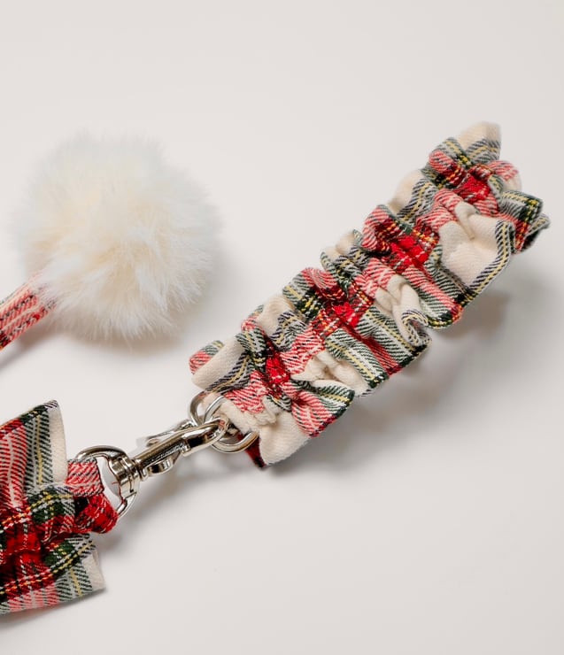 当店限定！予約【littlesara】Limited Check Collar