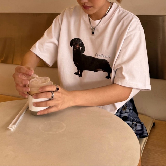 ダックスグラフィックプリンロゴTシャツ R00614