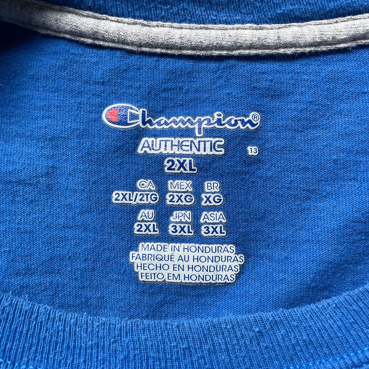 ビッグサイズ Champion チャンピオン ワンポイントロゴ刺繍 ロングT 