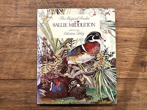 【VP011】The Magical Realm of Sallie Middleton /visual book