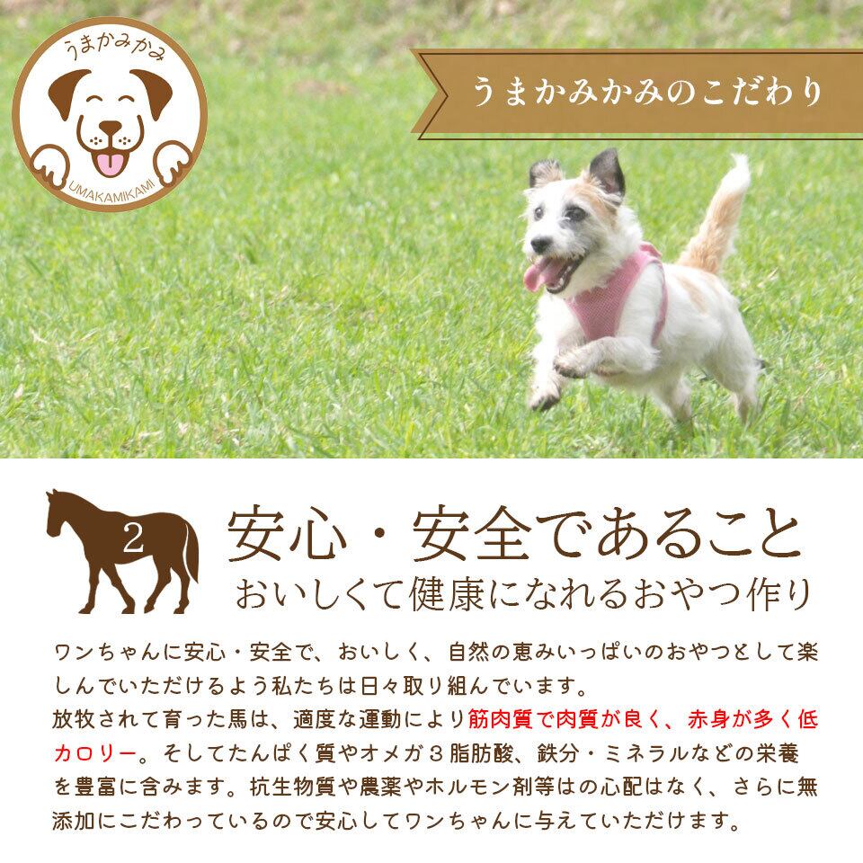 57%OFF!】 犬 おやつ 馬肉 無添加 7月限定 うまかみかみ 激得セット 馬肉ジャーキー 200gのお値段でお好きな200g商品がついてくる 馬背筋デンタルジャーキー 40g オヤツ ジャーキー 歯垢除去 ストレス解消 デンタルケア 歯磨きおやつ 馬肉