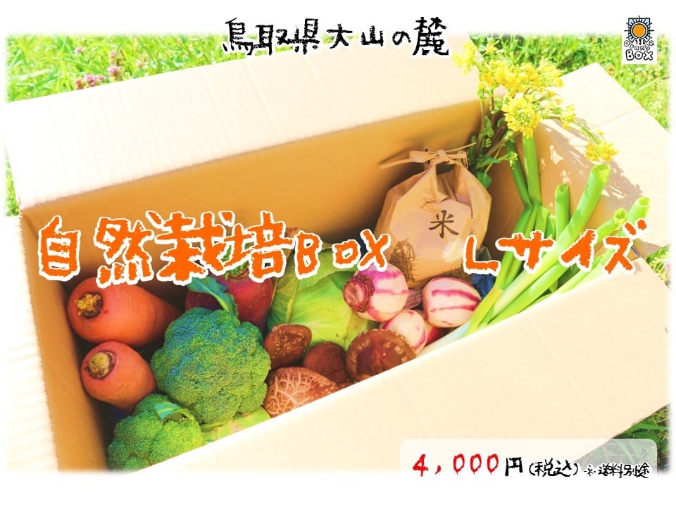 定期便～毎月発送～】大山野菜Box Lサイズ ※定期便のため500円分野菜