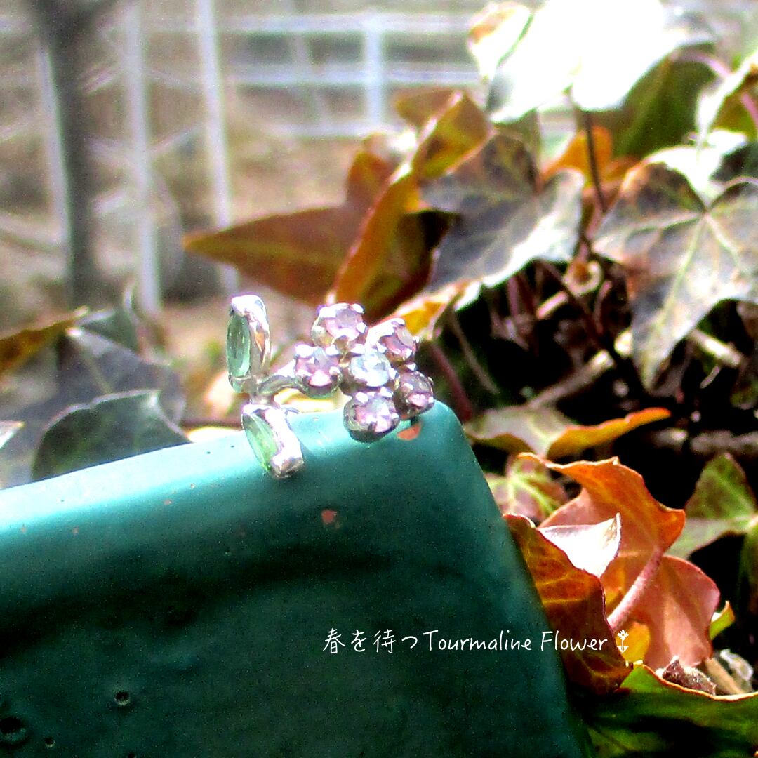★10月の誕生石★【Sv925】トルマリンFlower イヤーカフ *Petite Fleurシリーズ1*3色の美しいトルマリンのお花♪