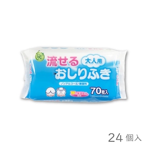 DN大人用流せるおしりふき70枚 24入