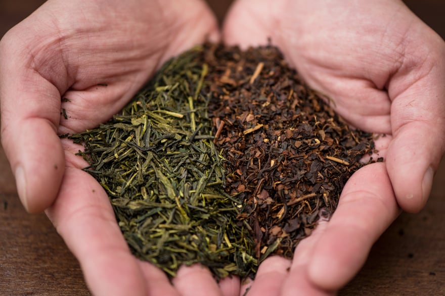 ASSORT BOX SET アソートボックスセット（4本入） | _SHIP KOMBUCHA