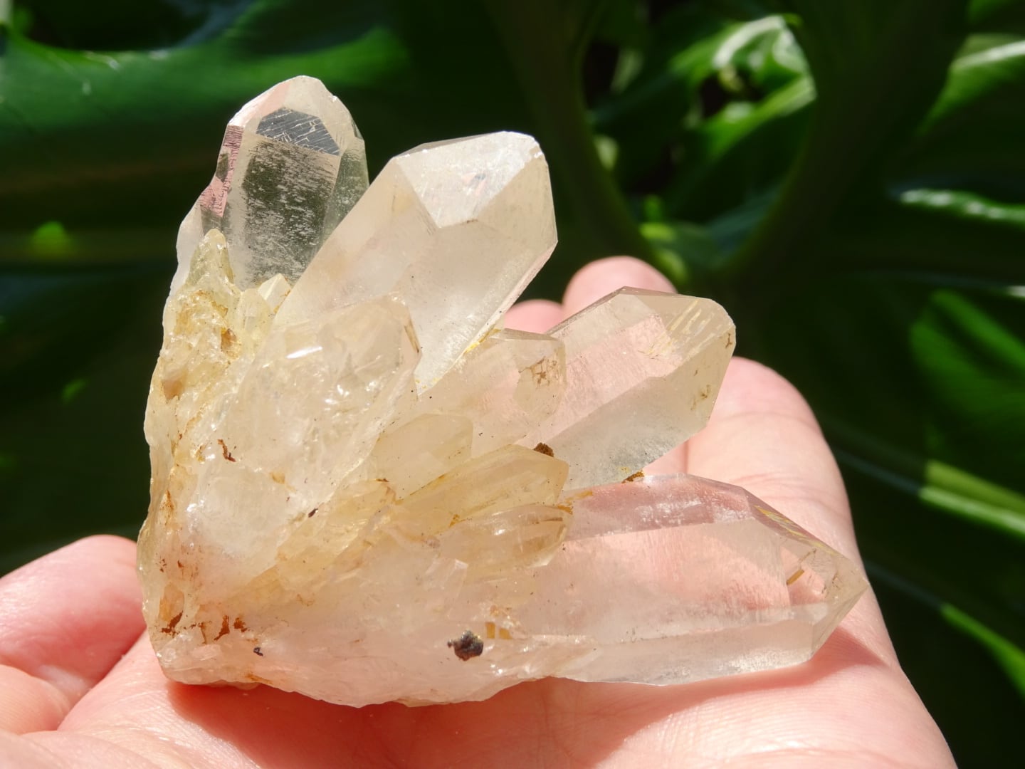 アバンダンス・クリスタル」 | 虹石屋 