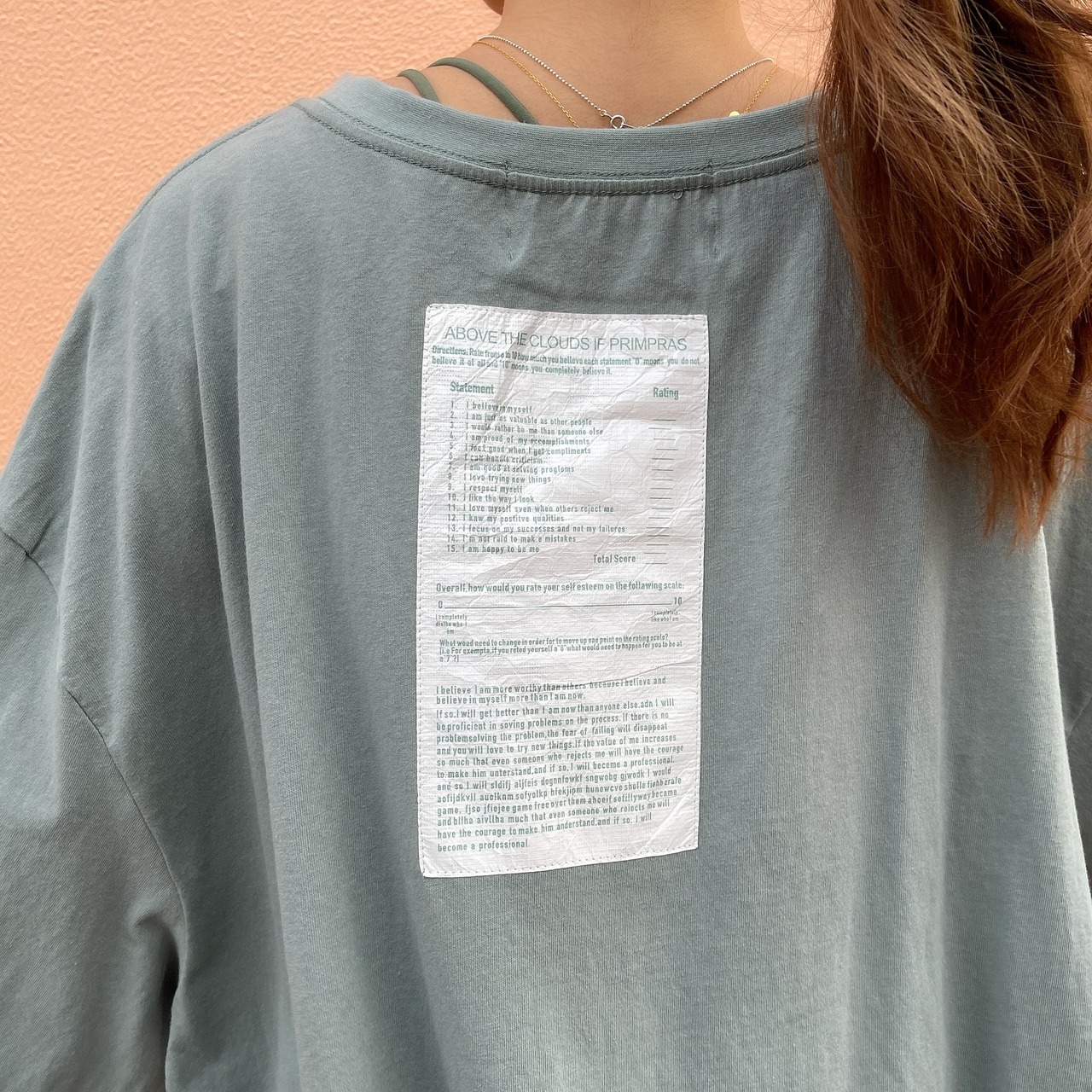 Back Wappen Logo over CS／mint