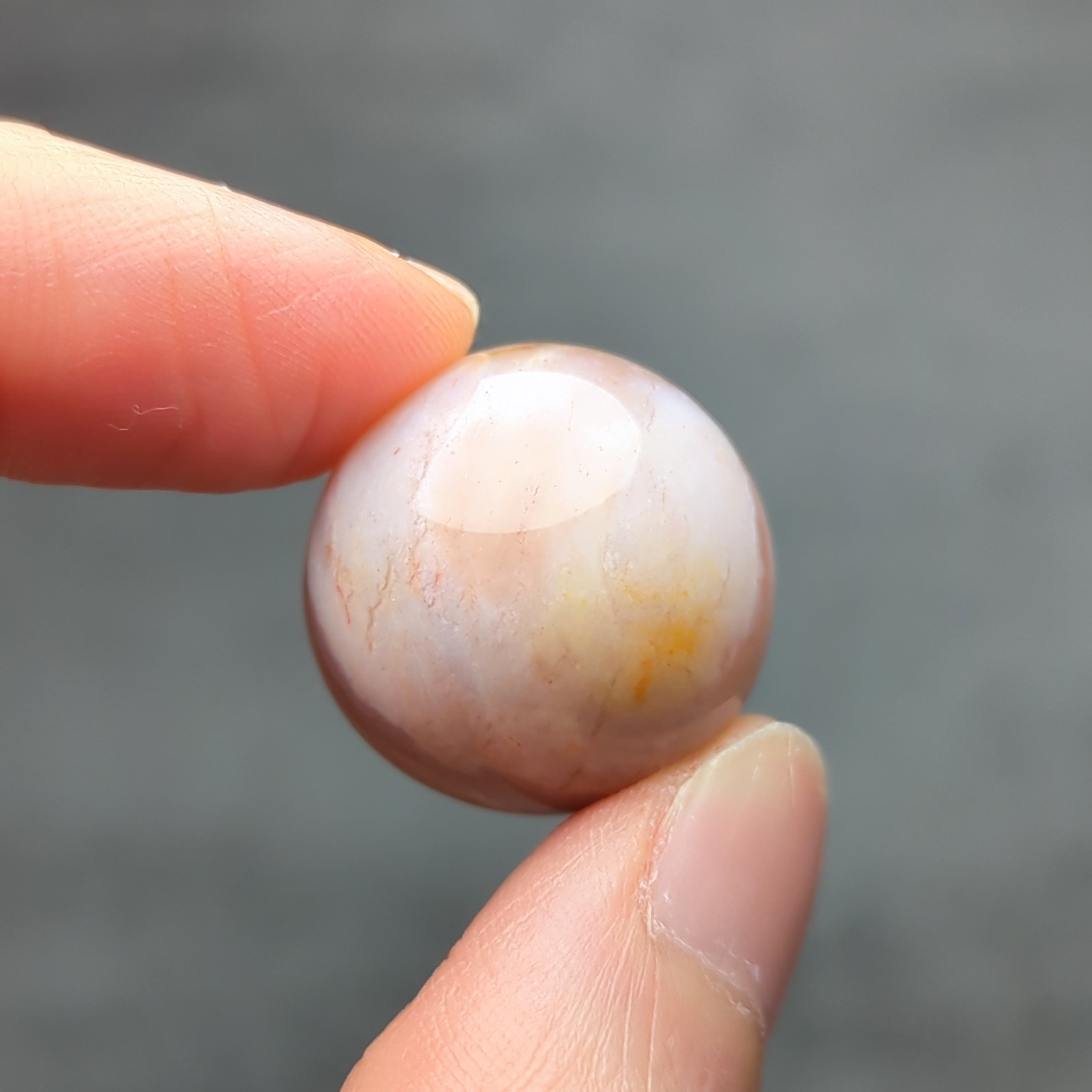 ペトリファイドウッドのミニスフィアNo.1 Φ20mm | ほしあかり 天然石のお店