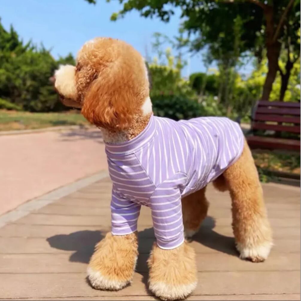 ペット用】大型犬用 犬服 可愛いボーダー柄 パイル素材 Tシャツ