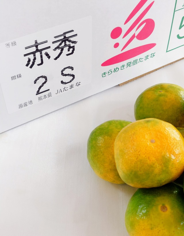 【熊本県産 極早生みかん】SSサイズ/1箱5㎏（約75個入り）　※包装・お熨斗無料
