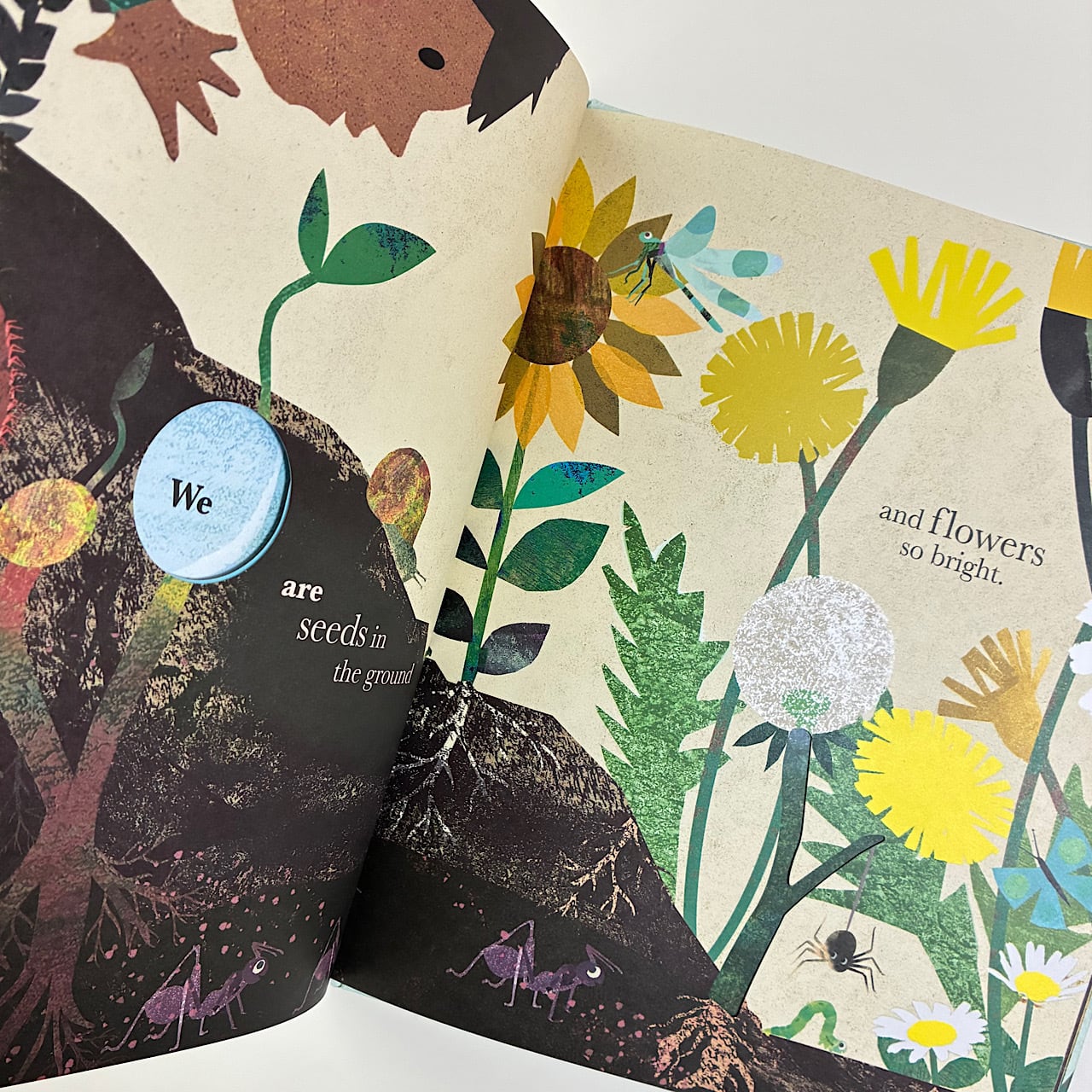 We Are All One | 素敵な洋書絵本のお店 Read Leaf Books