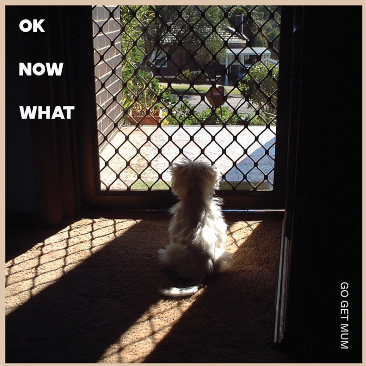 Go Get Mum / Ok Now What（200 Ltd 12inch EP）