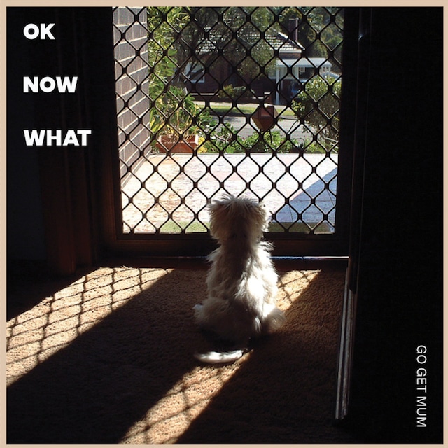 Go Get Mum / Ok Now What（200 Ltd 12inch EP）