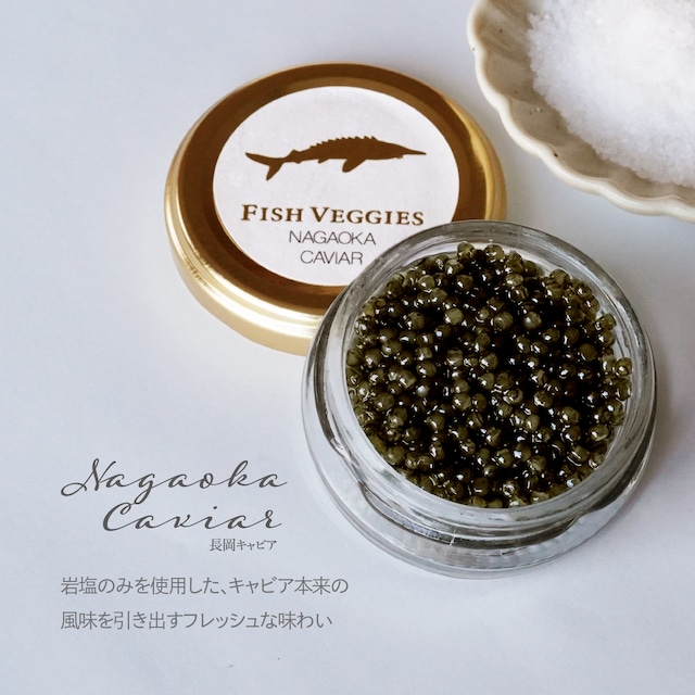 【国産フレッシュキャビア】FISH VEGGIES NAGAOKAキャビア 15g シェルスプーン・化粧箱付き