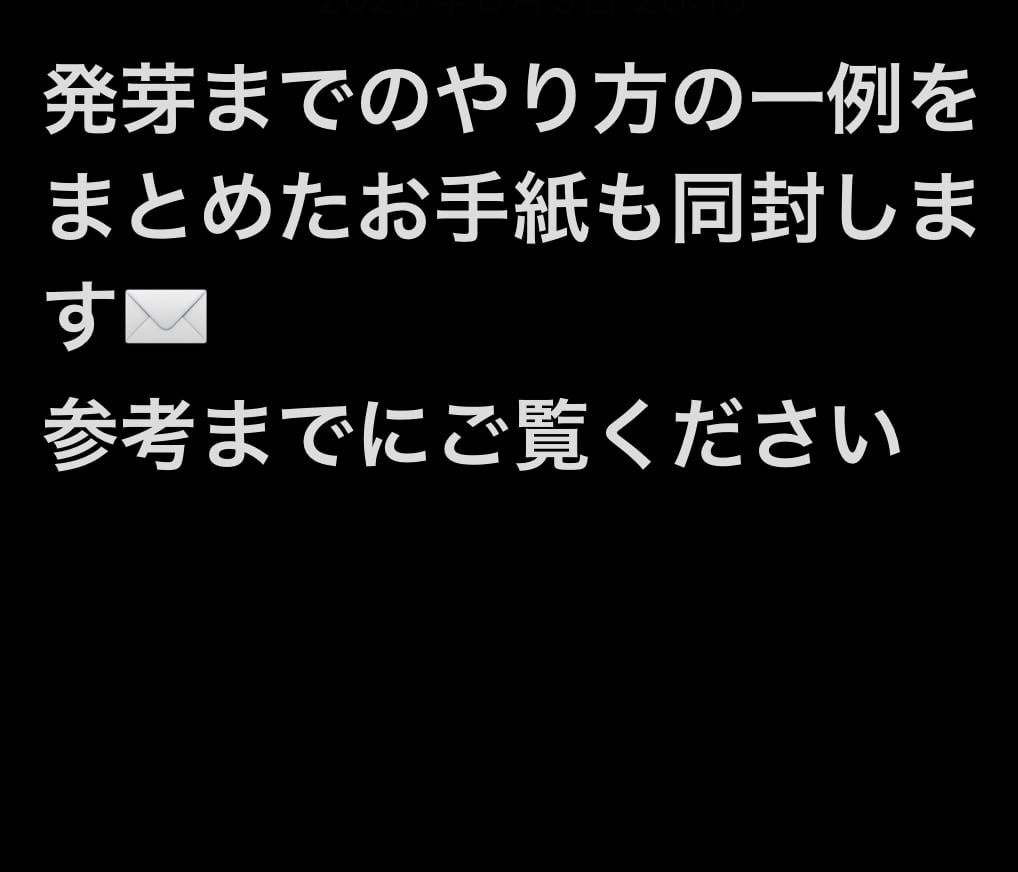 20%offアガベ オテロイ種オアハカ100粒fromルイスcollabウリエル 20%off】【タグ付 】アガベ オテロイ オアハカ 種 100粒 from ルイス