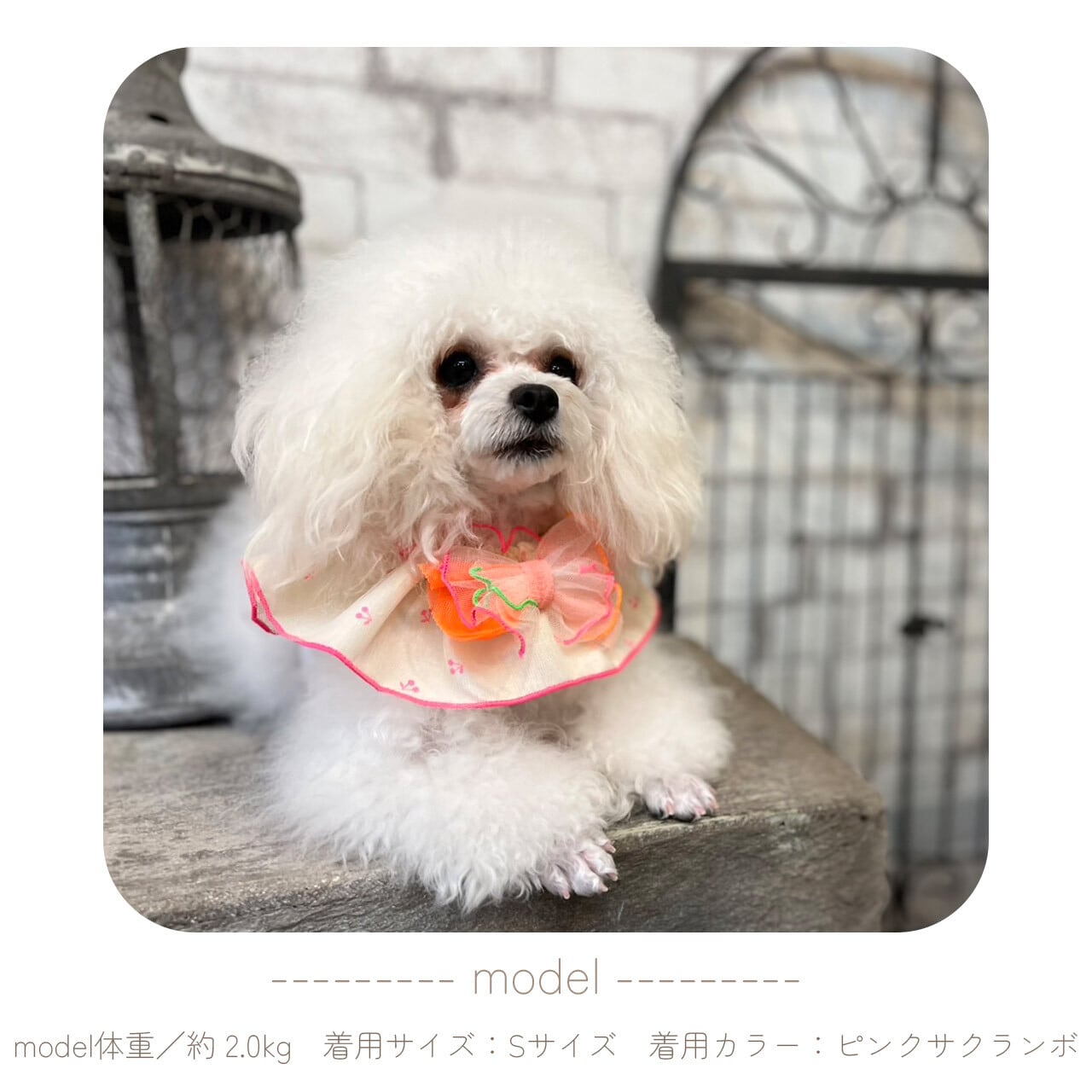 3way pop bib【Way_Collection】（リボン 愛犬とおでかけ ビブ スタイ