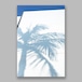 Postcard「Sweet Palm Tree」13cm×18cm Original Print
