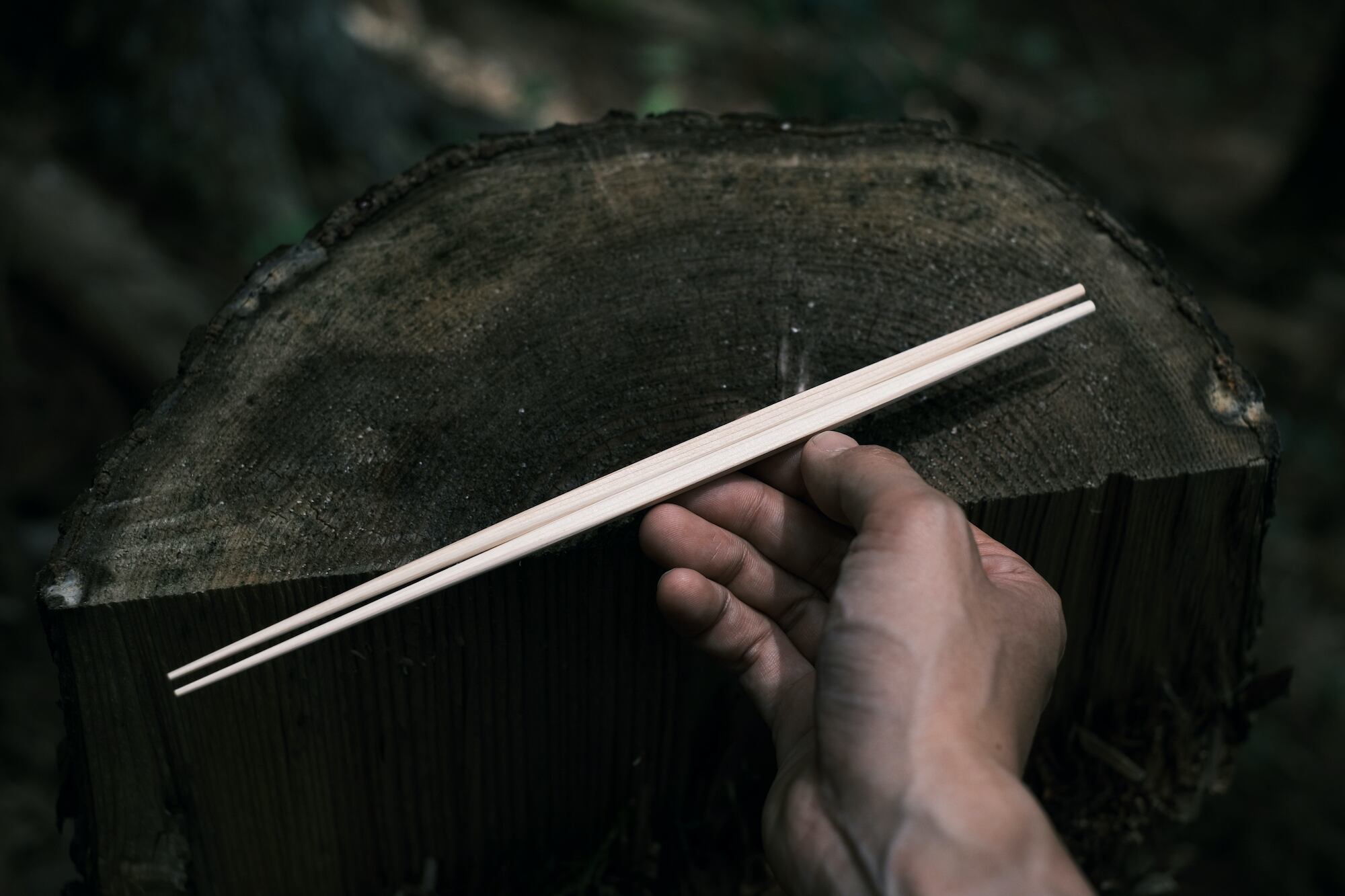 大門箸（50膳入） | tumi-isi オフィシャルストア-全国送料無料-