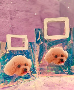 オーロラバッグL