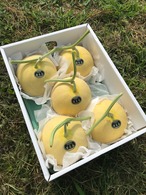 黄美香（きみか）メロン Lサイズ 秀品5玉（計約11〜12kg）