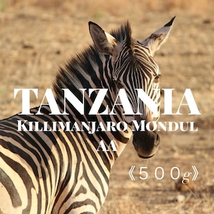 【５００ｇ】 タンザニア キリマンジャロ モンデュール AA  /  TANZANIA  Killimanjaro Mondul AA  【中煎り】