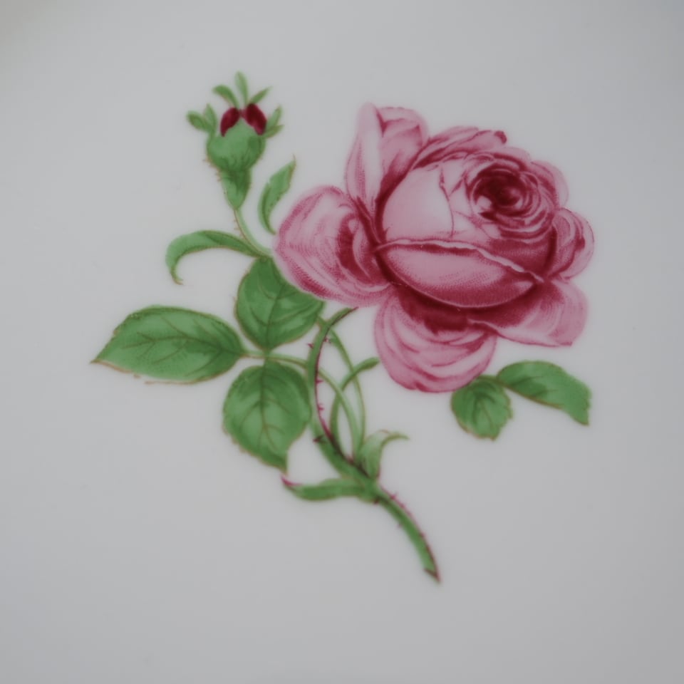 未使用】美品 フュルステンベルグ ローズ トリオB カップ＆ソーサー F2