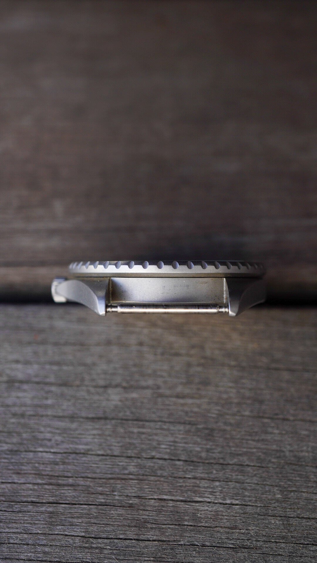 1980s】L.L.BEAN エルエルビーン ダイバーウォッチ 《HAMILTON