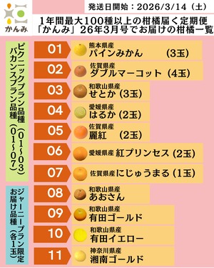 【買い切り・3品種】かんみピクニックプラン