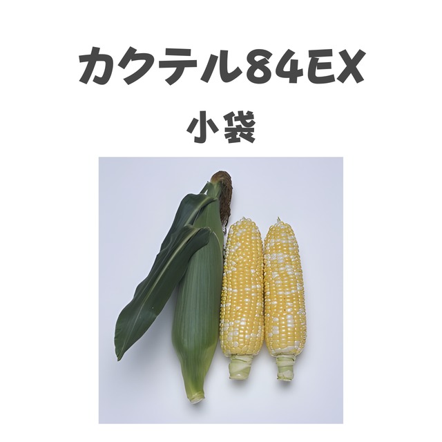 カクテル84EX　トウモロコシ種子・小袋