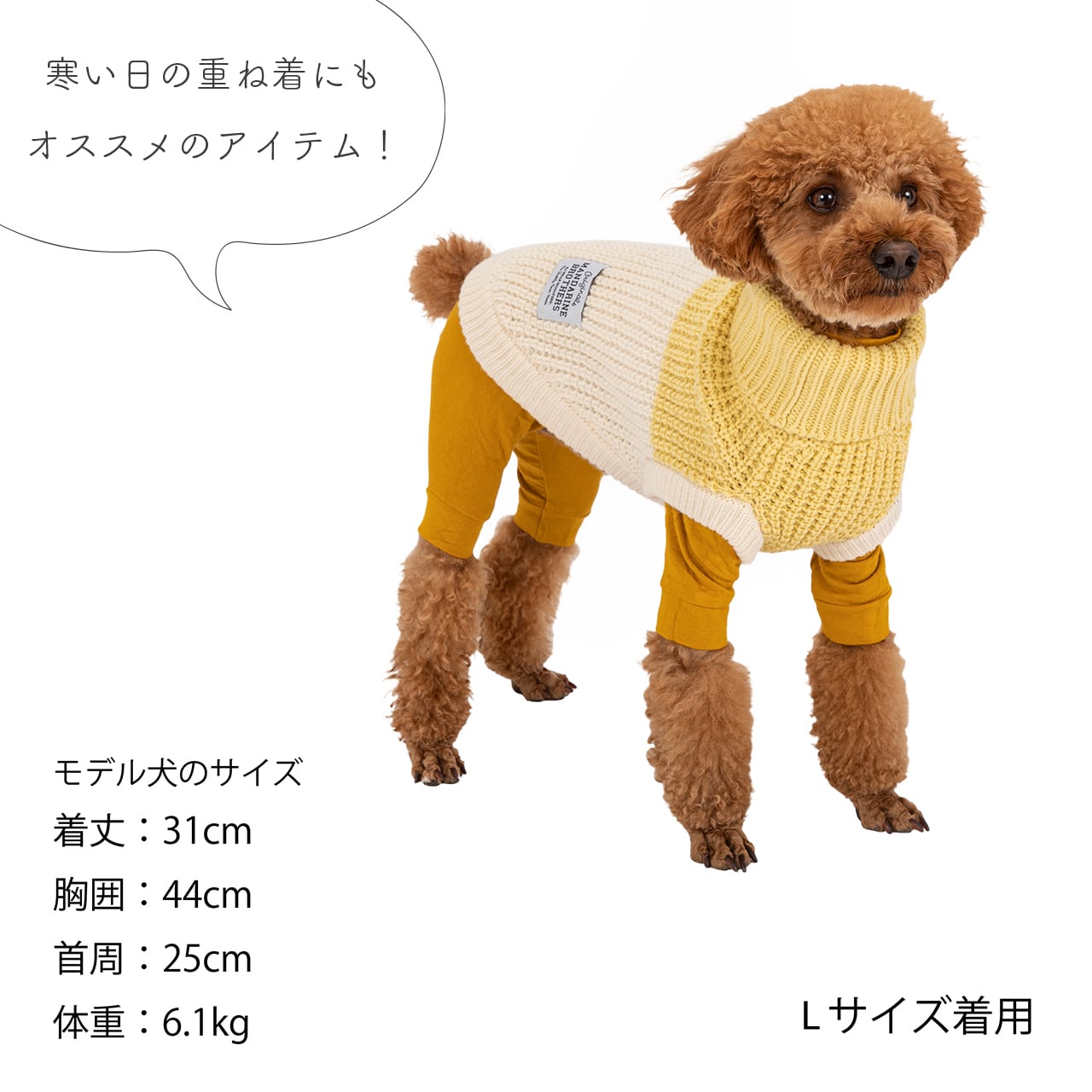 BICOLOR KNIT（XS,S） バイカラーニット | MANDARINE BROTHERS