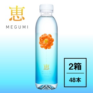 恵330ml×24本入り×２箱