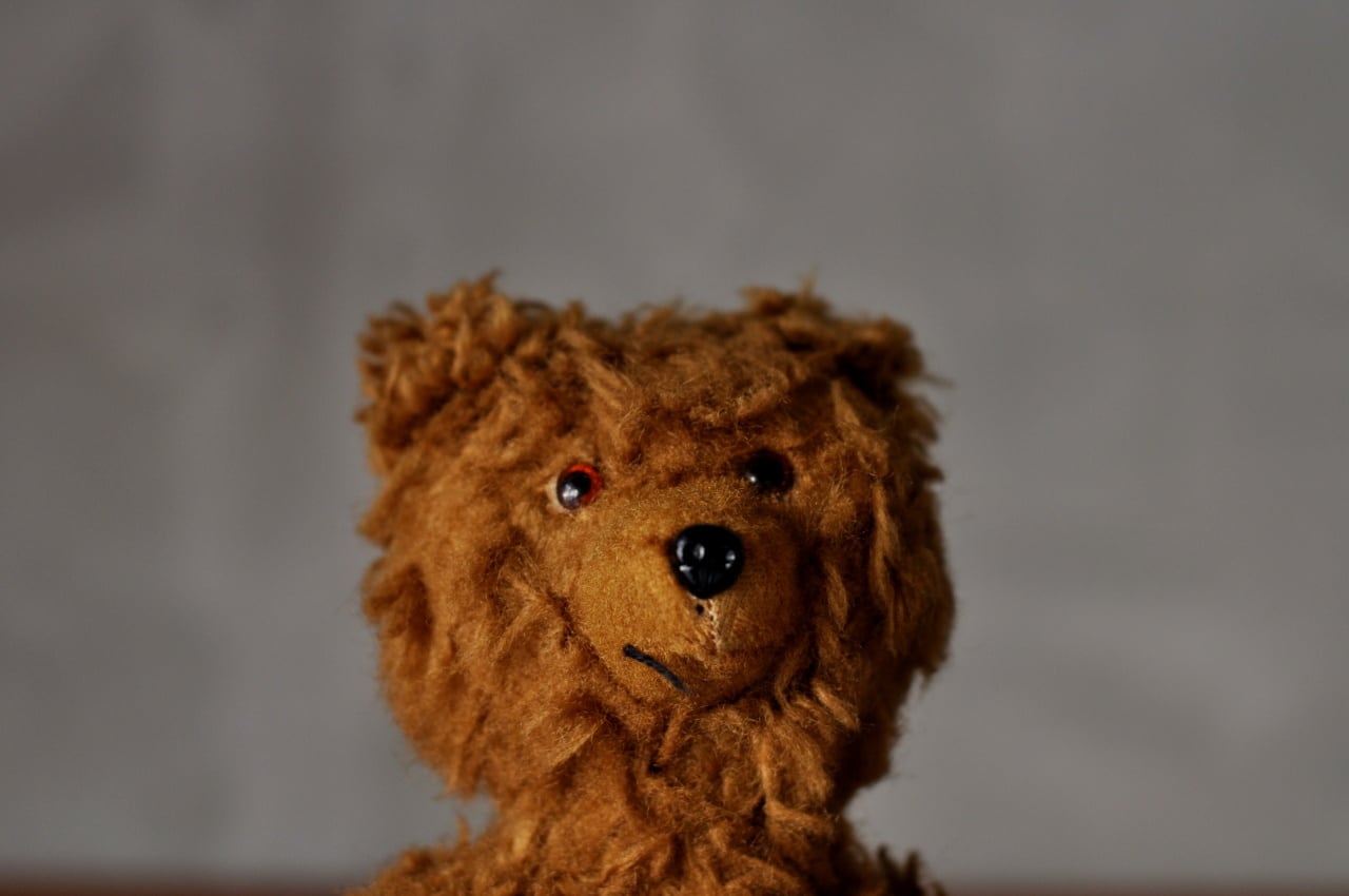 Teddybear5