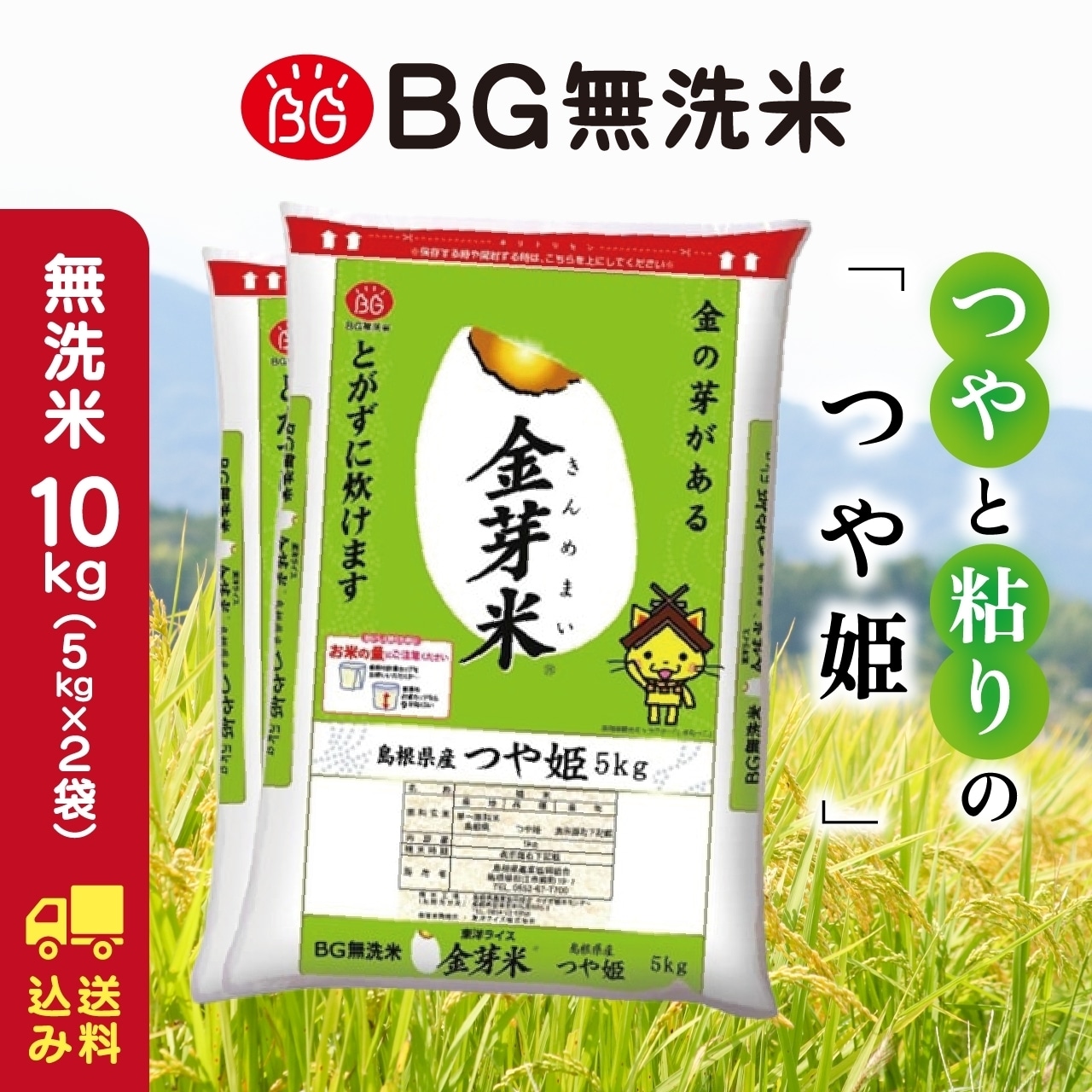 島根県産金芽米つや姫 10キロ 送料込み