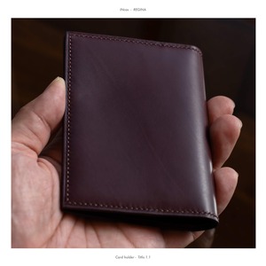Titlis 1.1  /  Cardcase
