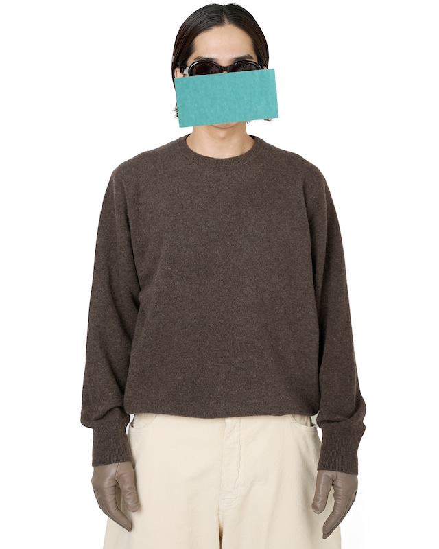 ssstein "EXTRA FINE WOOL KNIT CREW NECK LS〔MOCHA〕"