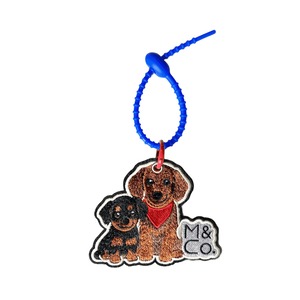 チャーム ダックス（Charm）