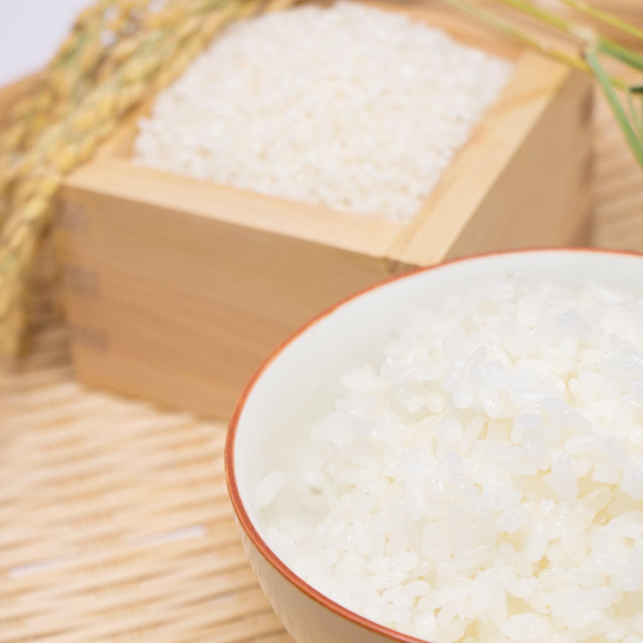 七城のこめ10kg（2kg×5袋）精米 | でんすけ農場