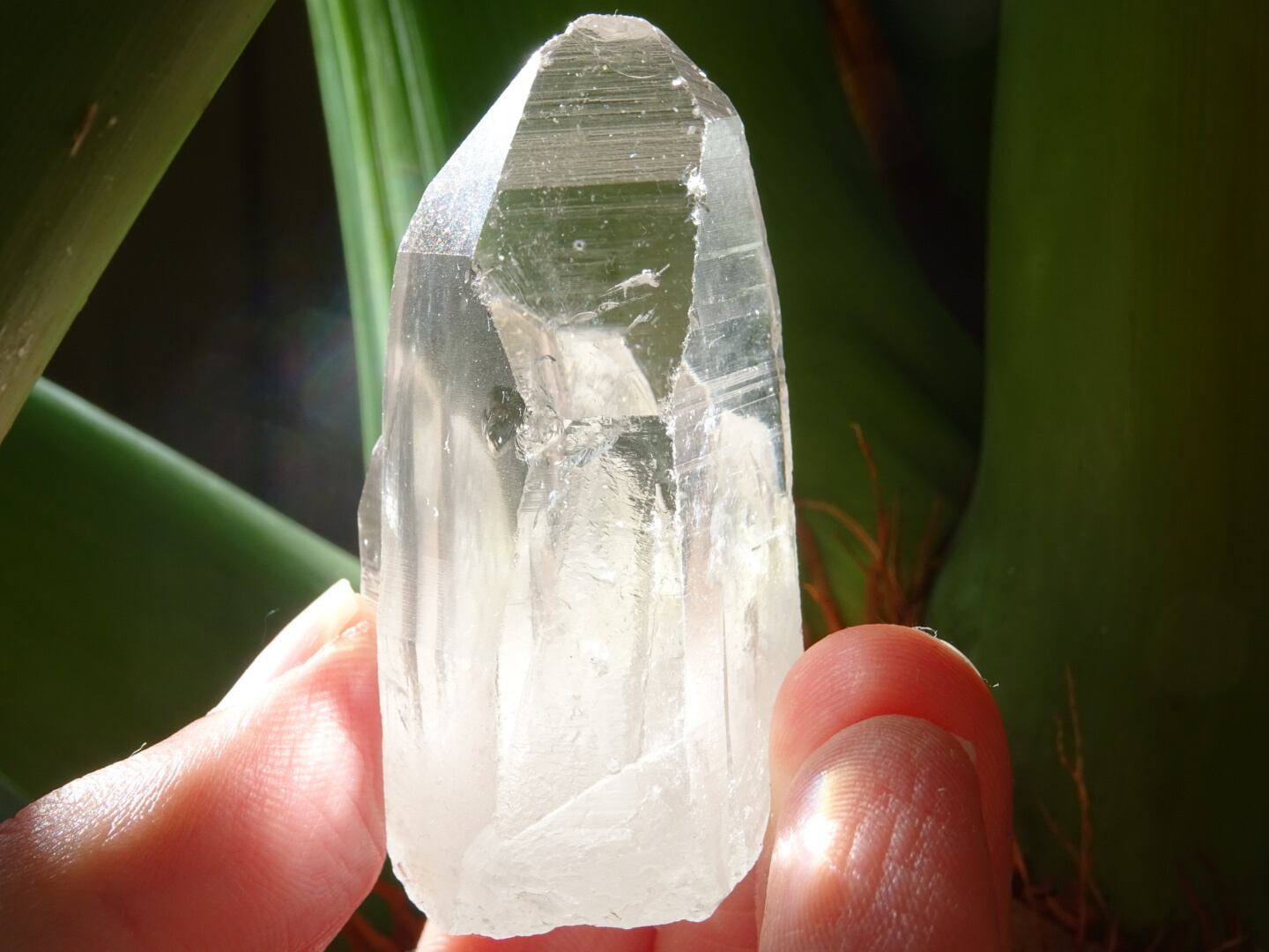 ラオスクォーツ」 ファミリークラスター、レコードキーパー＆セルフ