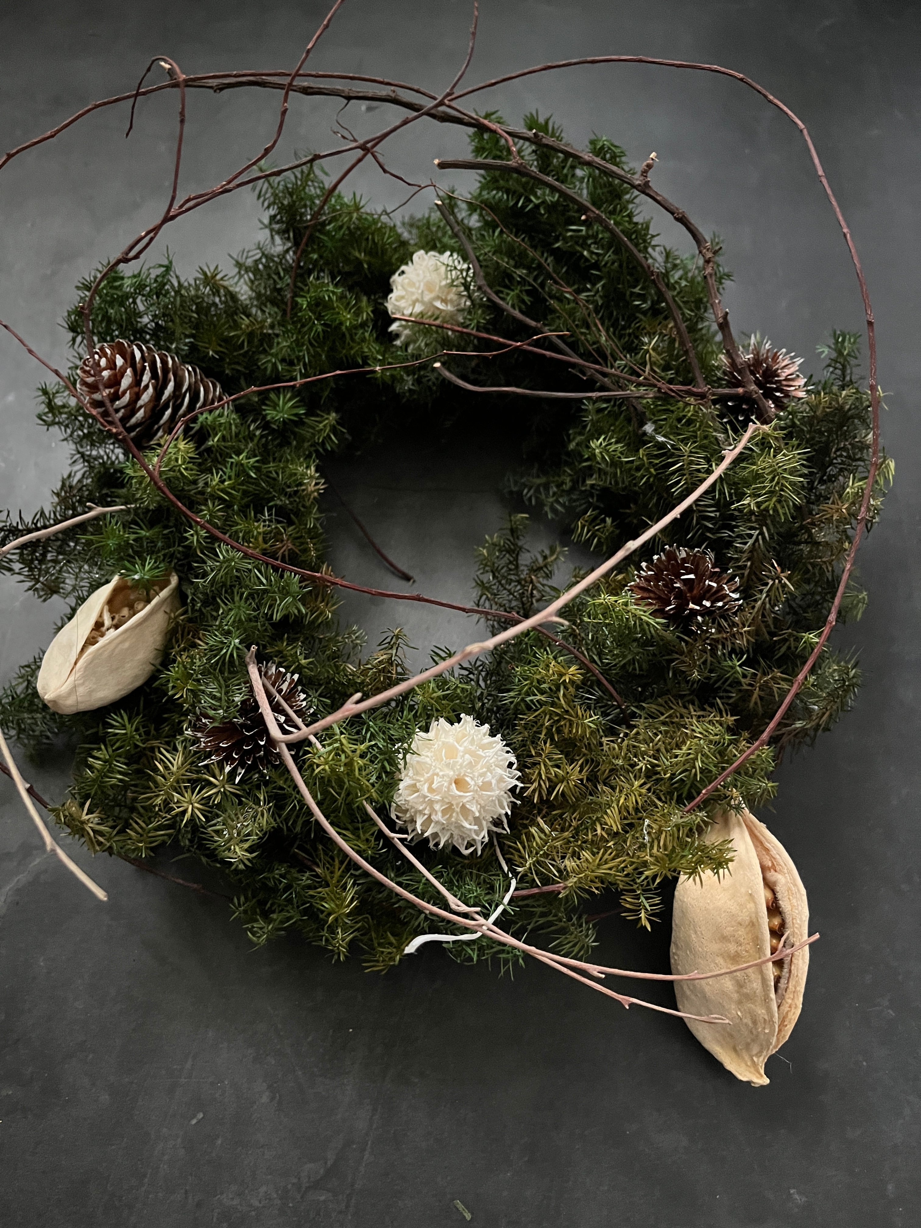 ヒムロスギと実のリース Hiromusugi Fruit Wreath