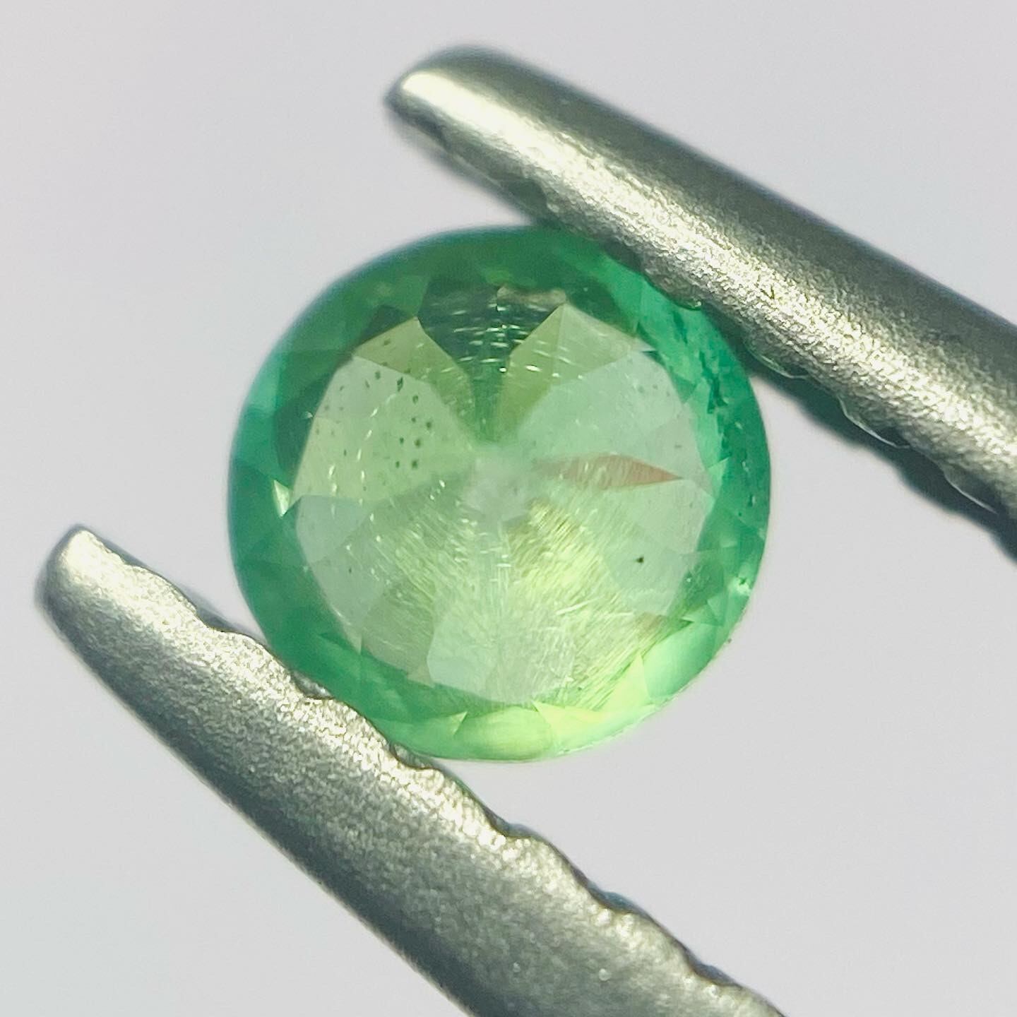 ネオンカラー、多色、シルキー、3拍子揃った希少コーネルピン