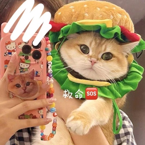猫 帽子 犬 帽子 ペット 帽子 ハンバーガー コスプレ 猫用 犬用 被り物 かぶりもの ペット用品 かわいい おもしろ 変身 なりきり コスチューム 仮装 ペットウェア 猫グッズ 犬グッズ 小型犬 猫用帽子 ふわふわ 写真撮影 SNS映え 誕生日 ハロウィン クリスマス S M L 商品画像5