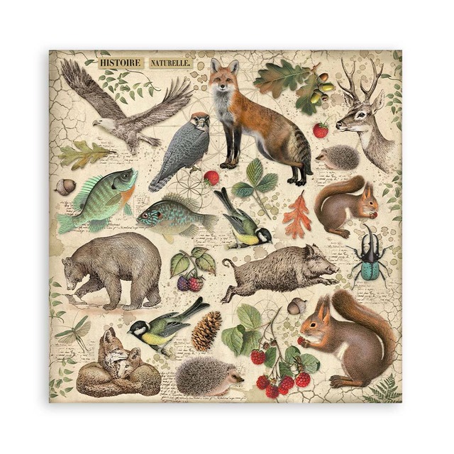 Stamperia Scrapbooking Small Pad 8インチ Double Faced - Forest　両面デザインペーパーパッド10枚入り　SBBS06【Stamperia（スタンぺリア）】[ST-33]