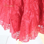 社交ダンス 衣装 スタンダード スカート レッスンウェア レディース Sanline サンリーヌ 赤 花柄 レッド系 練習着 レース シック 透け感 練習用 スカート 踊る 多目的 クラシックなデザイン フェミニン 大人可愛い ラグジュアリー おしゃれ ベルベット感 軽量ファブリック フルフレア デイリーコーデ ゆったり 大人女性用 上品さ エレガント