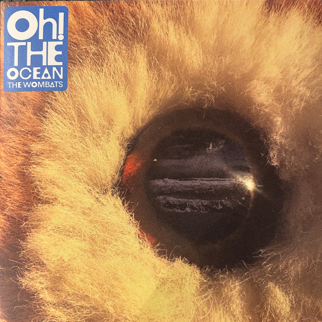 【LP】THE WOMBATS/Oh! The Ocean