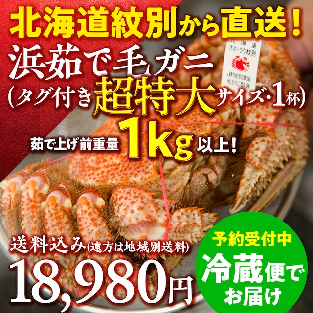 (0941)（1杯・送料込）紋別から直送『北海道紋別産毛ガニ・超特大』未冷凍チルド