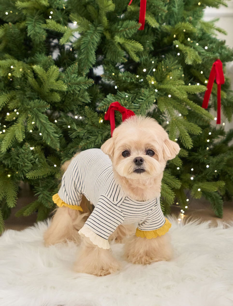 M.L/在庫確保済【It’s Sunny Outside】 Mellow AllInOne (MonoStripe)