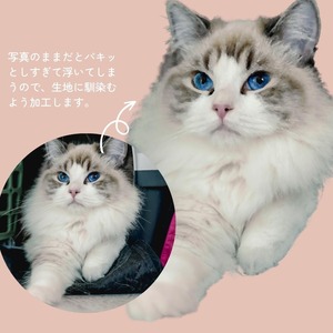 うちの子フォト｜Tシャツ